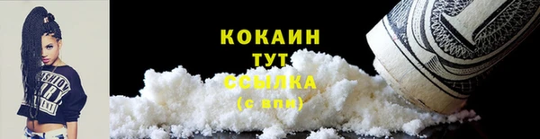 эйфоретик Богданович