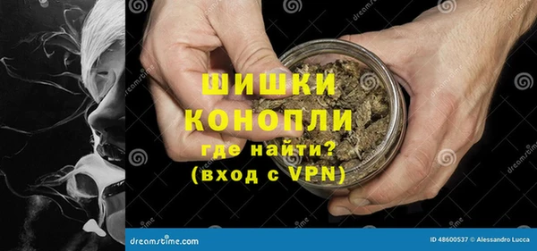 гашик Белокуриха