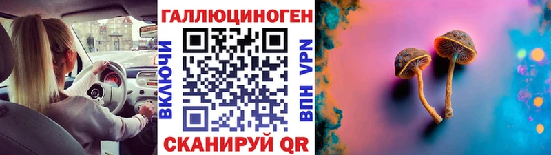 blacksprut как зайти  Бузулук  Псилоцибиновые грибы мухоморы 